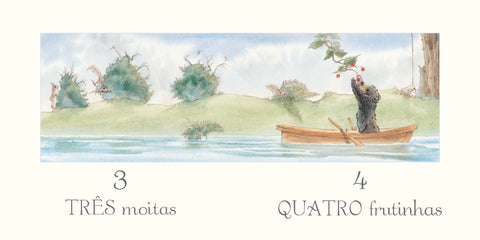 Urso e barco